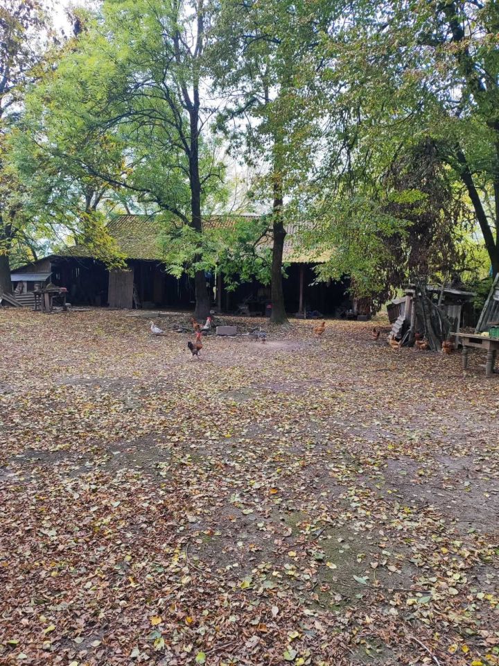 Działka rolno-budowlana Linów-Kolonia. Zdjęcie 3