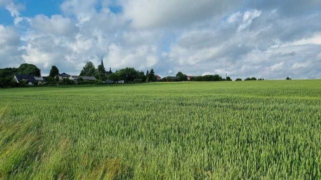 Działka rolno-budowlana Poręba Górna. Zdjęcie 1