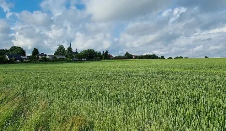 Działka rolno-budowlana Poręba Górna