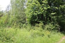 Działka rolna Gójszcz. Zdjęcie 3