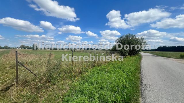 Działka budowlana Studzianki. Zdjęcie 4