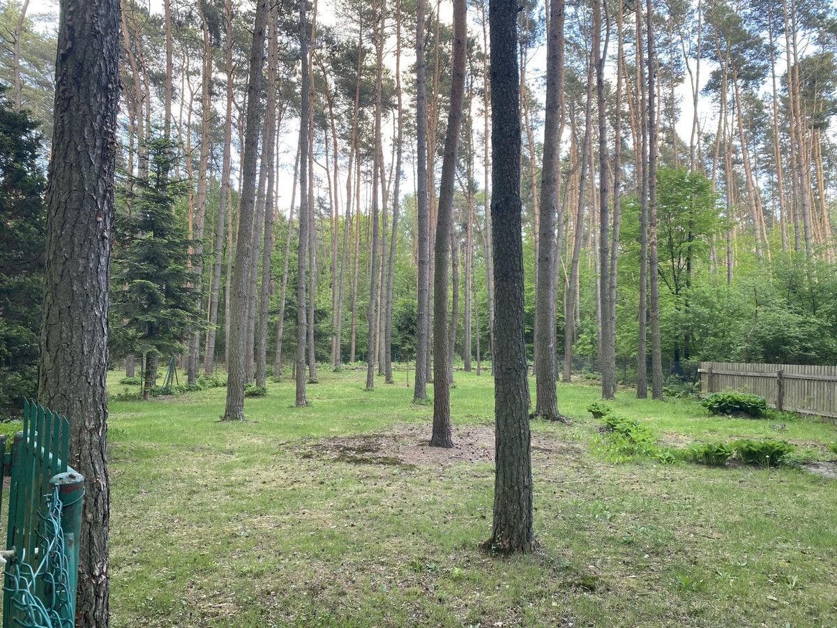 Działka budowlana Czyżemin. Zdjęcie 2