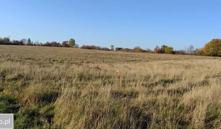 Działka budowlana Szczawno-Zdrój