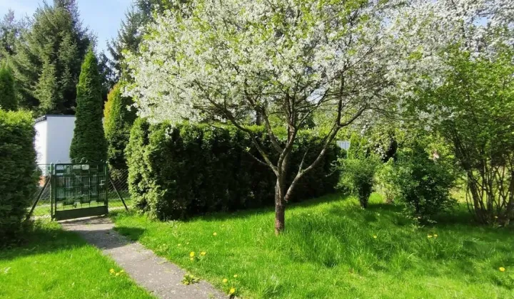 Działka rod Zabierzów