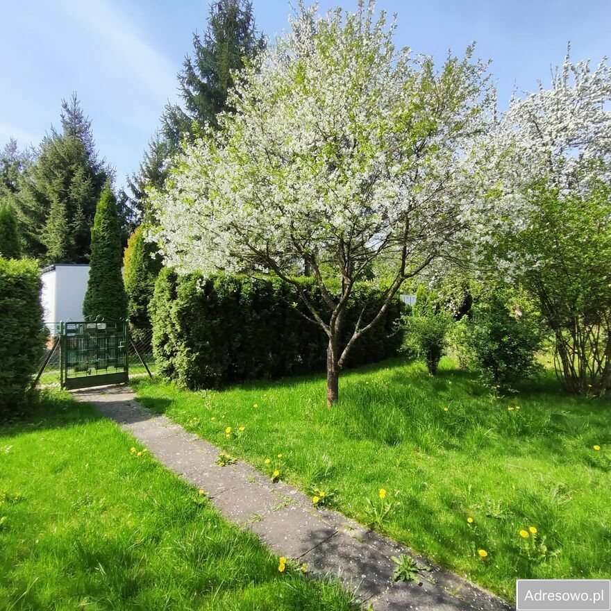 Działka rod Zabierzów. Zdjęcie 1