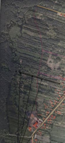 Działka leśna Ossów. Zdjęcie 1