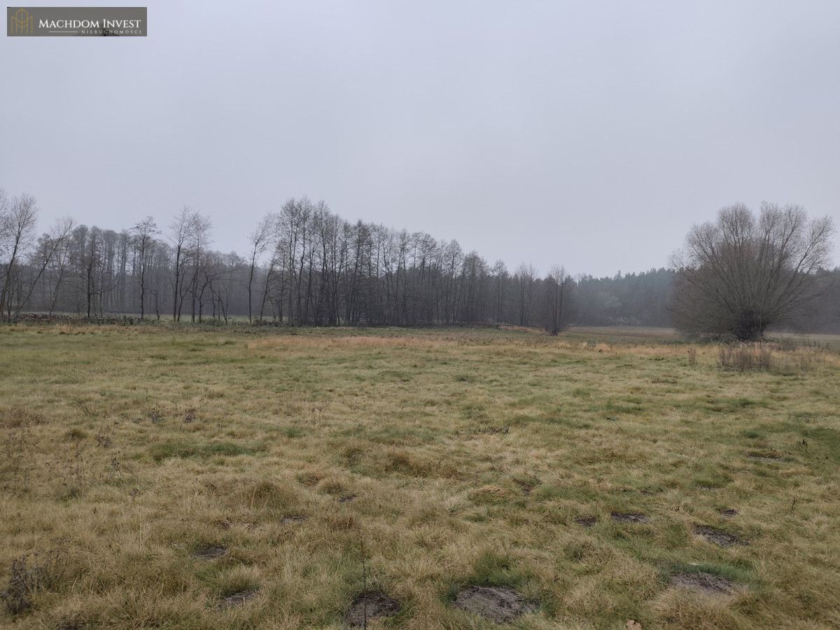 Działka budowlana Cegielnik. Zdjęcie 7