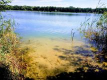 Działka rekreacyjna Wiewiórczyn. Zdjęcie 1