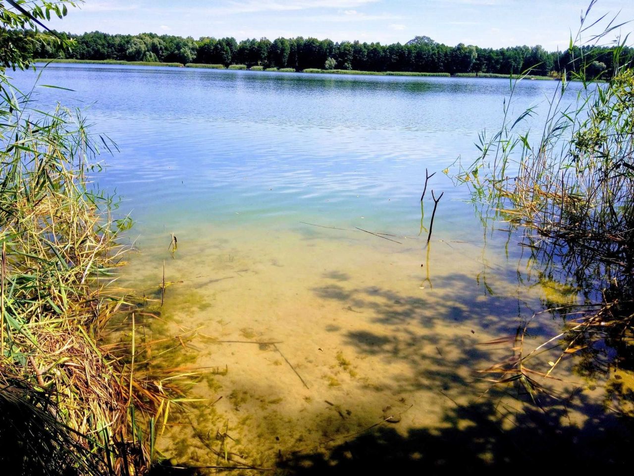 Działka rekreacyjna Wiewiórczyn. Zdjęcie 2