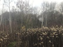 Działka budowlana Stary Pożóg. Zdjęcie 2