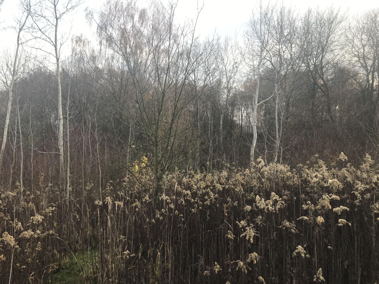 Działka budowlana Stary Pożóg. Zdjęcie 3