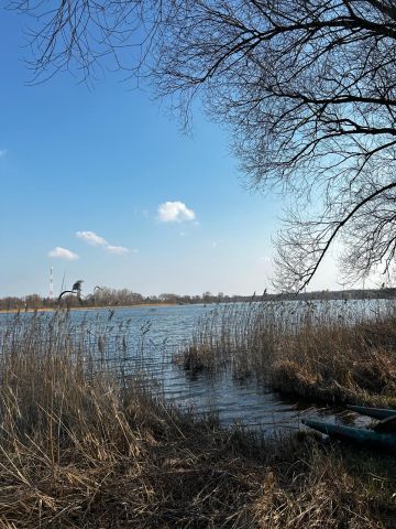 Działka rolno-budowlana Orchowo, ul. Trzemeszeńska. Zdjęcie 1