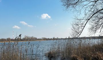 Działka rolno-budowlana Orchowo, ul. Trzemeszeńska