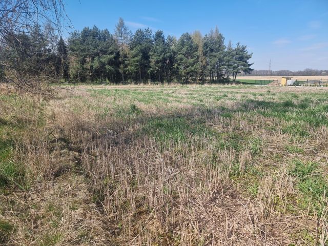 Działka rolno-budowlana Jarząbkowice. Zdjęcie 10
