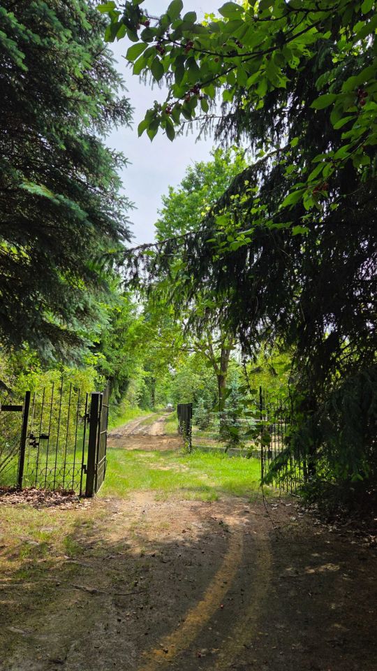 Działka rekreacyjna Grabniak. Zdjęcie 2