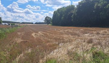 Działka budowlana Kraszkowice Dąbrowa, ul. Południowa