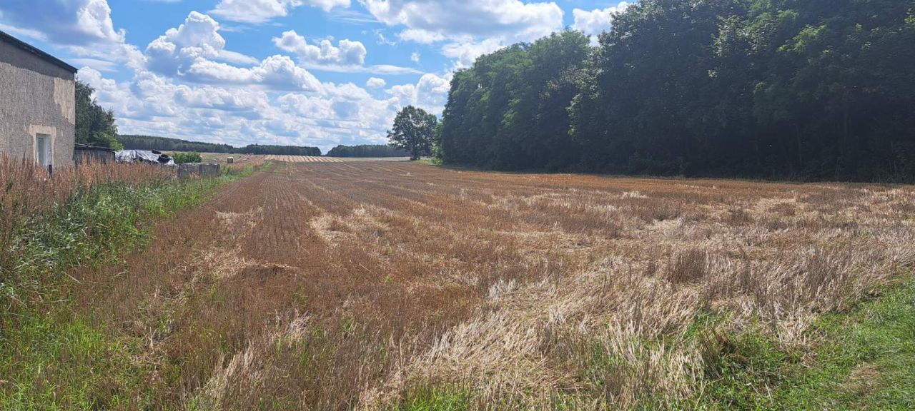 Działka budowlana Kraszkowice Dąbrowa, ul. Południowa. Zdjęcie 2