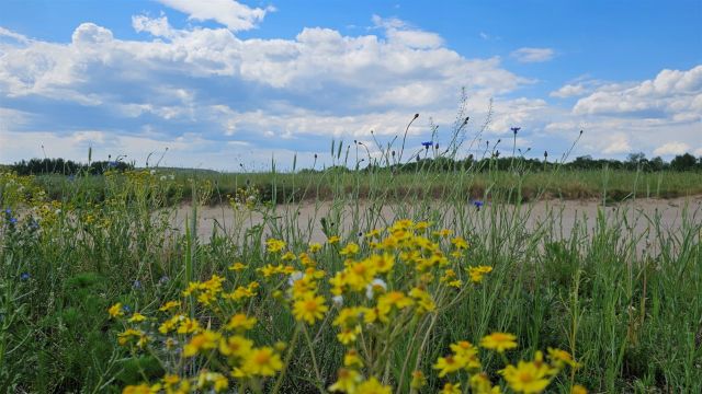 Działka rekreacyjna Zdory. Zdjęcie 9