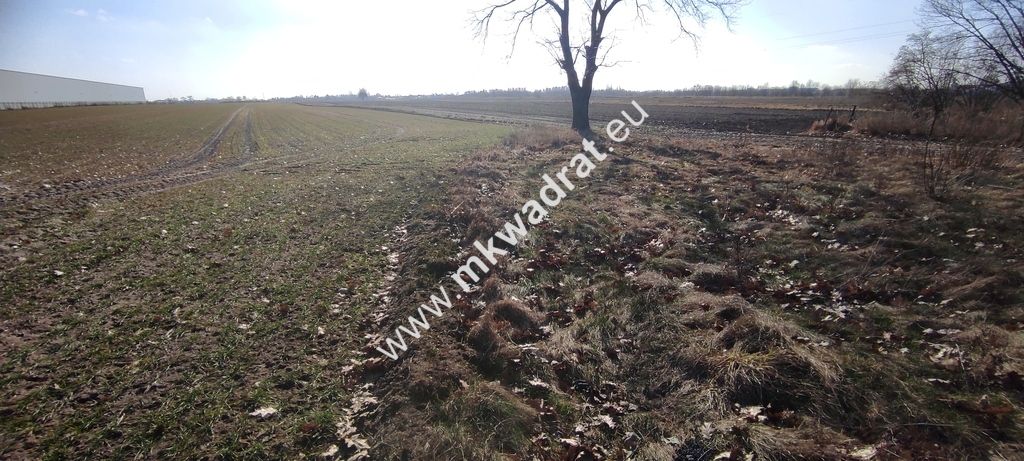 Działka budowlana Błonie, ul. Powstańców. Zdjęcie 8