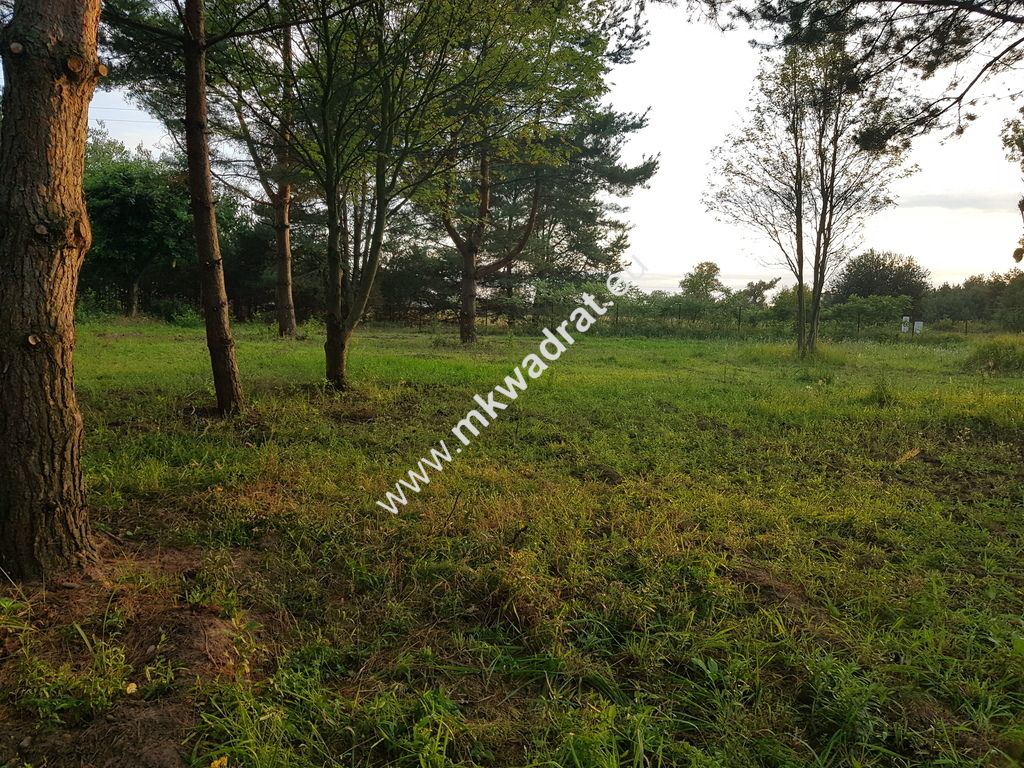 Działka budowlana Radziejowice-Parcel. Zdjęcie 6