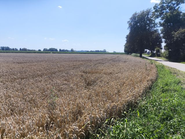 Działka rolna Karsy, Karsy 64/1. Zdjęcie 1