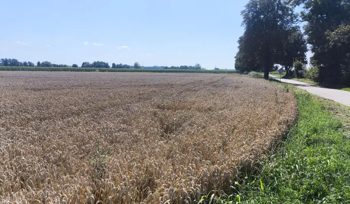 Działka rolna Karsy, Karsy 64/1