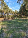 Działka rolno-budowlana Michałów-Reginów, ul. Piaskowa. Zdjęcie 1