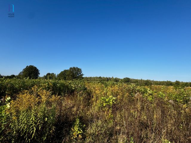 Działka inwestycyjna Stary Imielnik. Zdjęcie 3