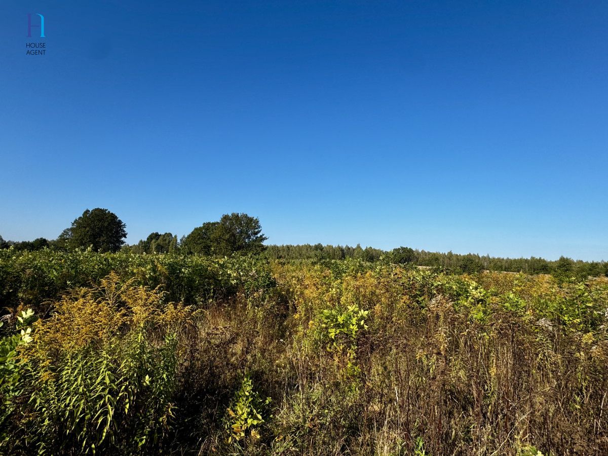 Działka inwestycyjna Stary Imielnik. Zdjęcie 3