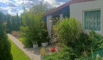 Działka rod Śrem, ul. Jeziorna