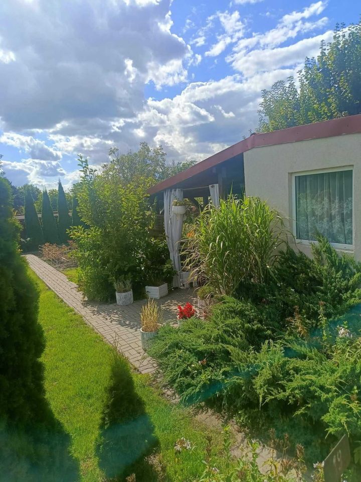 Działka rod Śrem, ul. Jeziorna. Zdjęcie 2