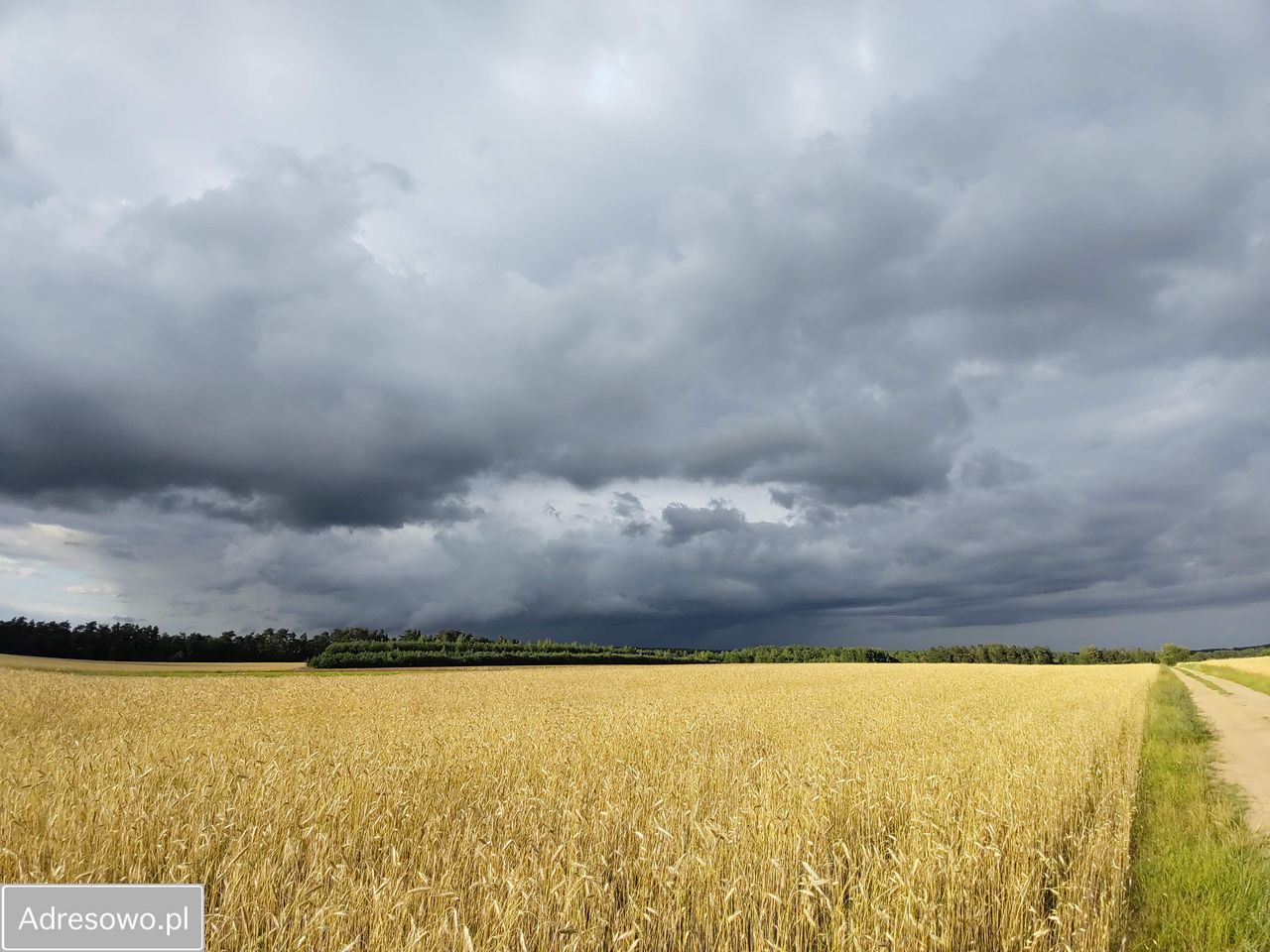 dom wolnostojący, 6 pokoi Szumlin. Zdjęcie 6