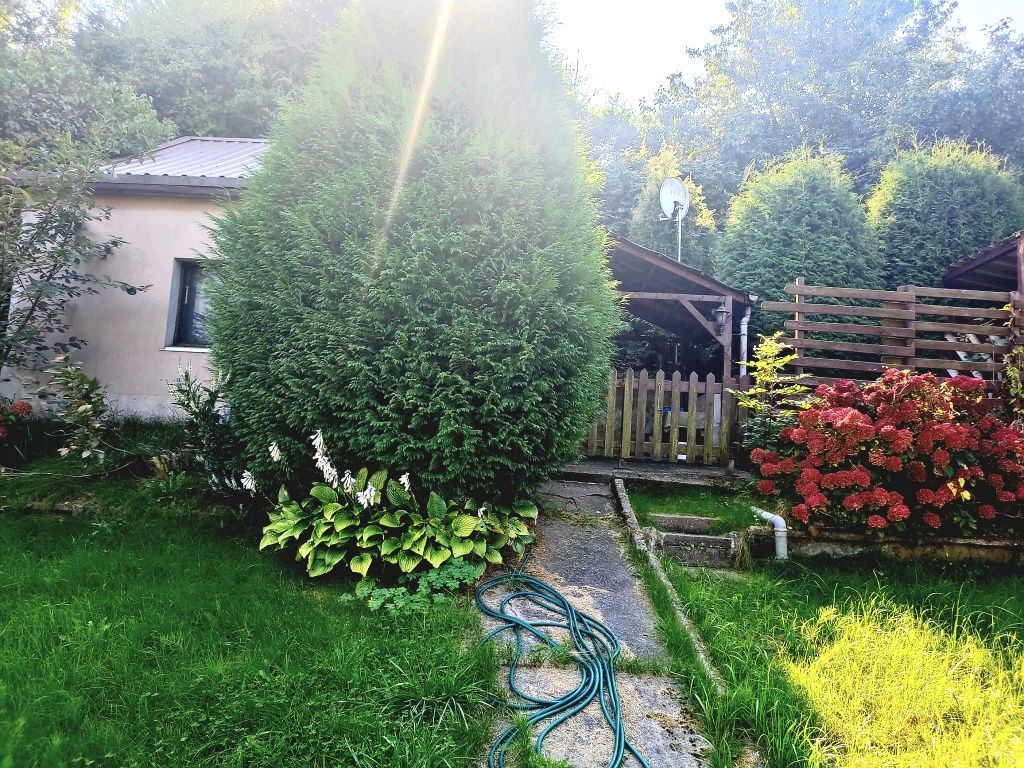 Działka rod Szczecin Golęcino, ul. Pokoju. Zdjęcie 5