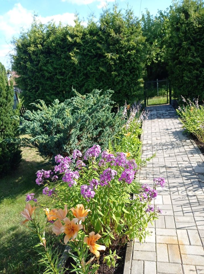 Działka rod Białystok Jaroszówka, ul. Gwiazdkowa. Zdjęcie 2