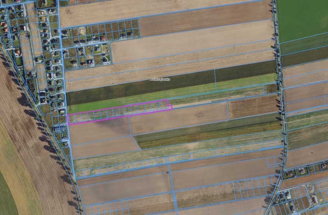 Działka budowlana Dzierzążenko. Zdjęcie 1