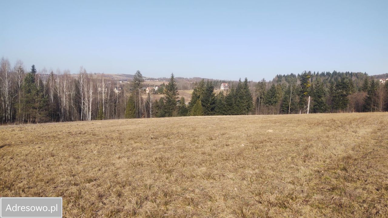 Działka budowlana Dąbrówka. Zdjęcie 11