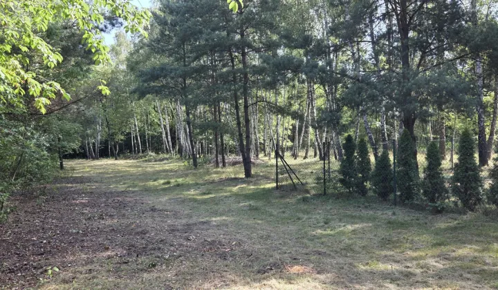 Działka Zofiówka, ul. Szumna