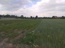 Działka inwestycyjna Koło, ul. Henryka Sienkiewicza. Zdjęcie 3