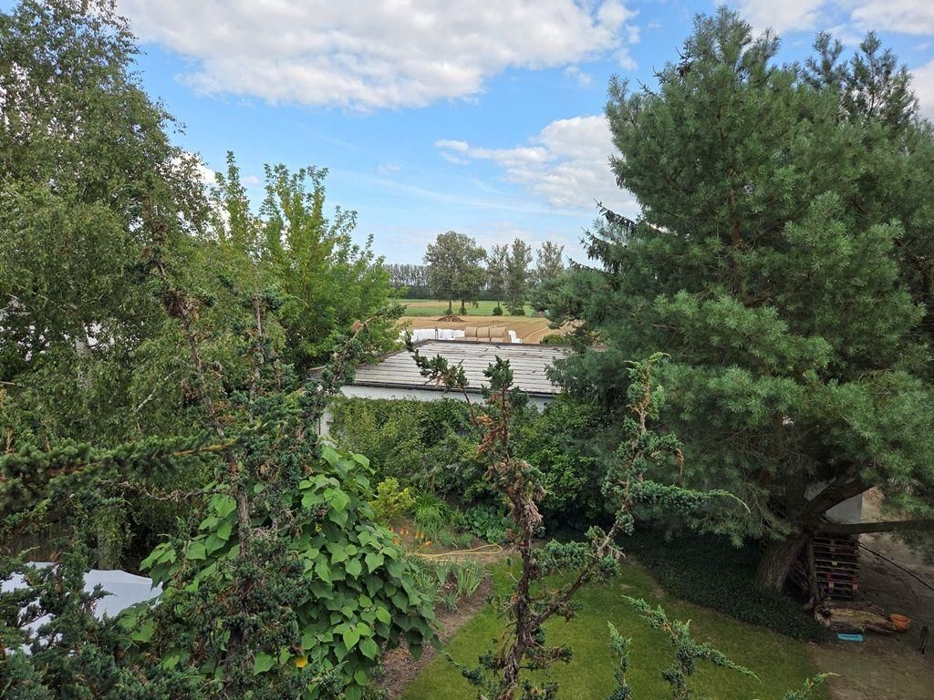 dom wolnostojący, 5 pokoi Piotrowo Drugie. Zdjęcie 19