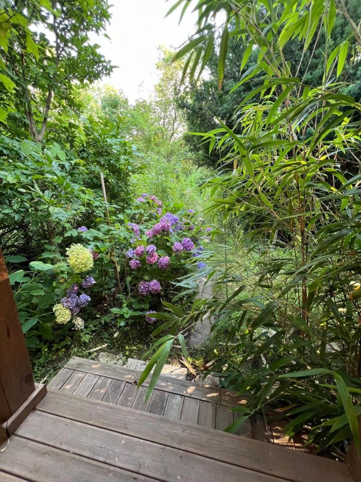 Działka rod Warszawa Mokotów, ul. Racławicka. Zdjęcie 7