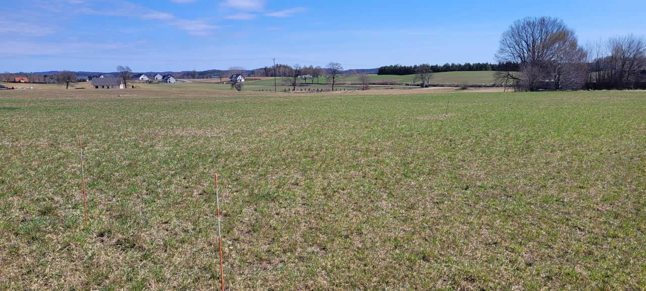 Działka budowlana Sikorzyno. Zdjęcie 2