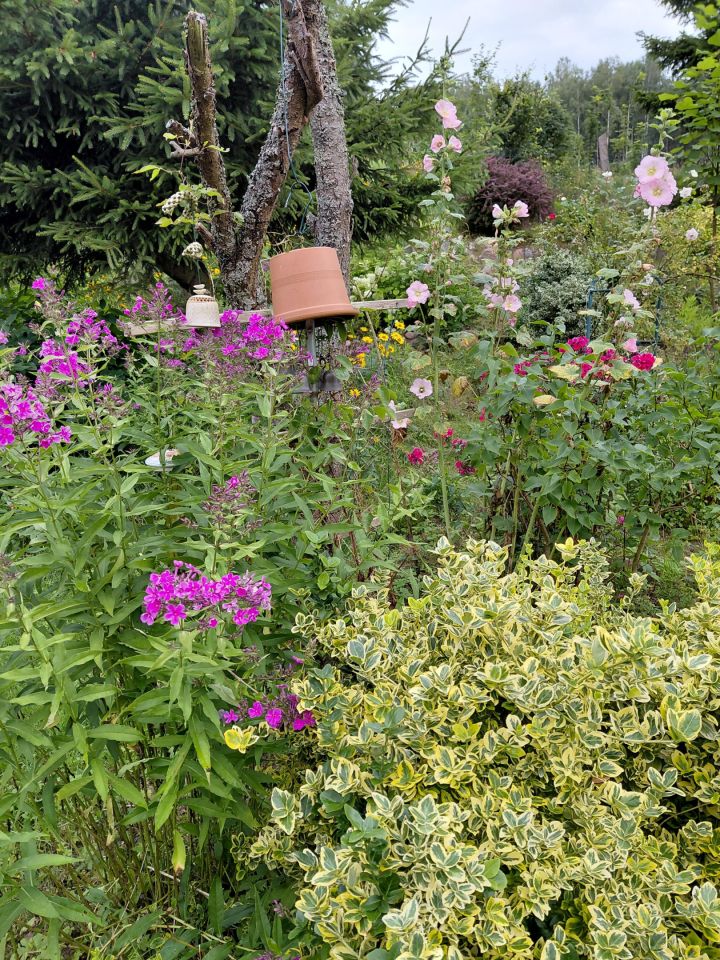 dom wolnostojący, 4 pokoje Sierpowo. Zdjęcie 26