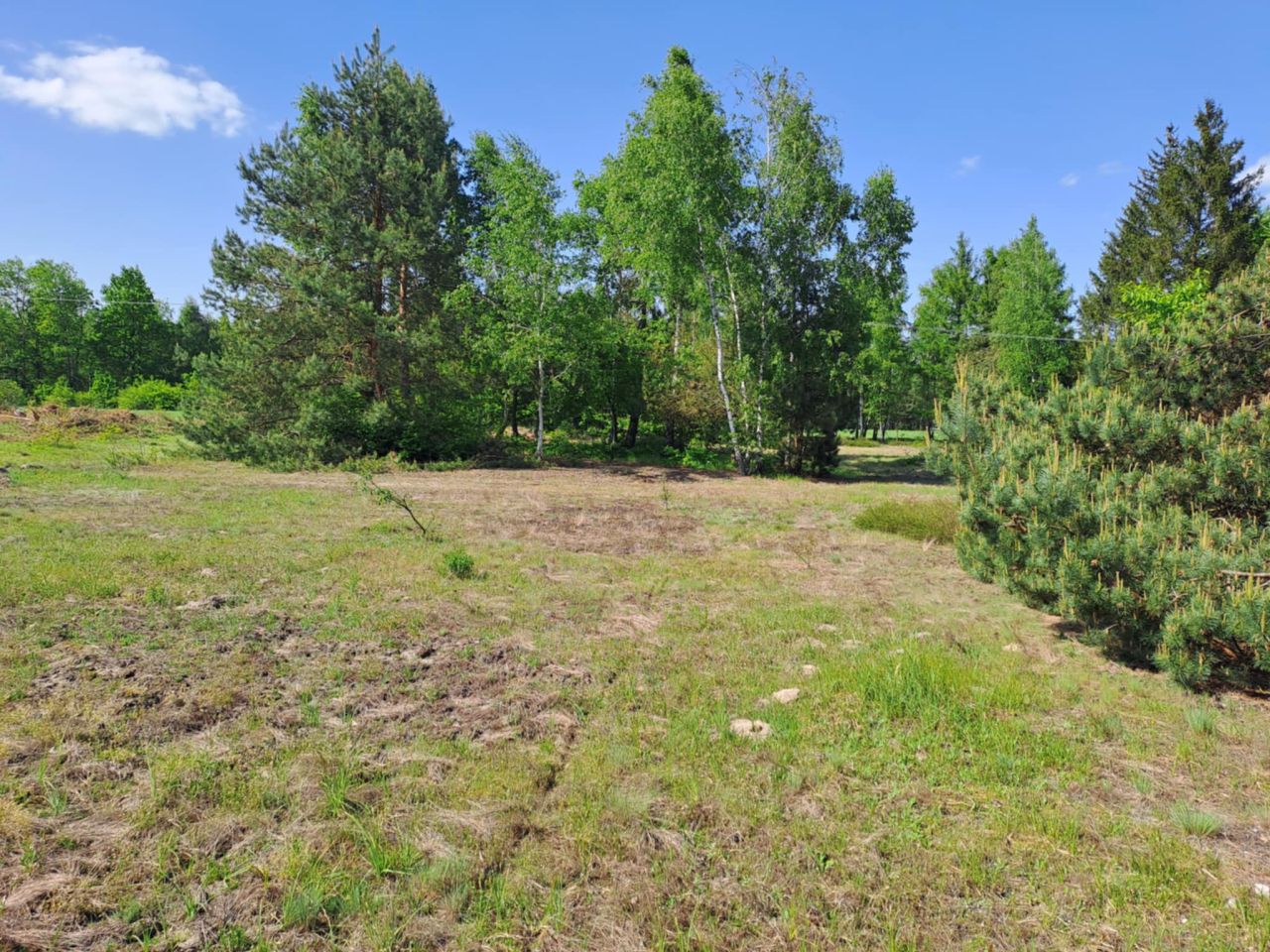 Działka rolno-budowlana Kochanów. Zdjęcie 5