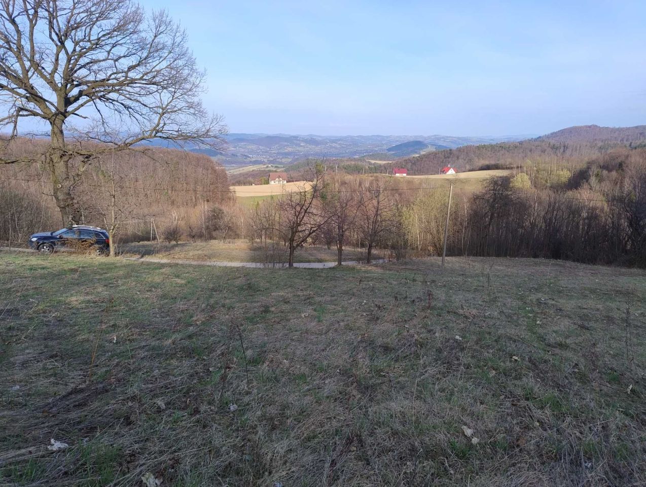 Działka rolna Stańkowa. Zdjęcie 5