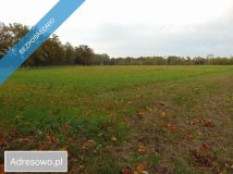 Działka inwestycyjna Zielona Góra. Zdjęcie 2