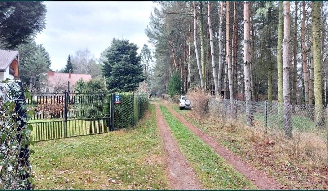 Działka Ldzań. Zdjęcie 6