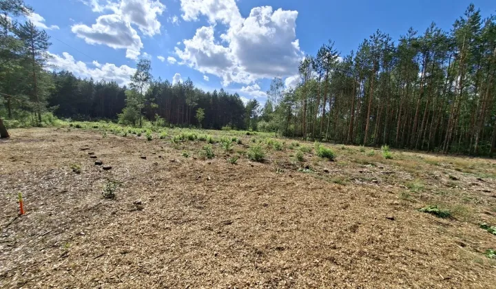 Działka budowlana Dąbrówka Majdan Dąbrówczański
