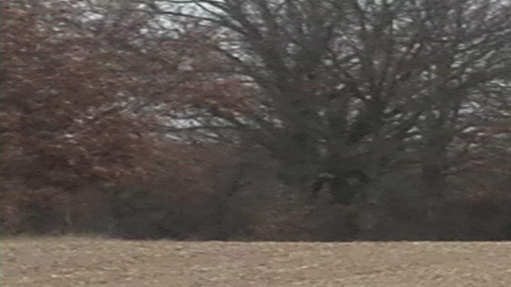 Działka budowlana Zawada. Zdjęcie 3