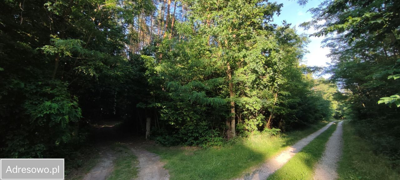 Działka budowlana Olszanka. Zdjęcie 6