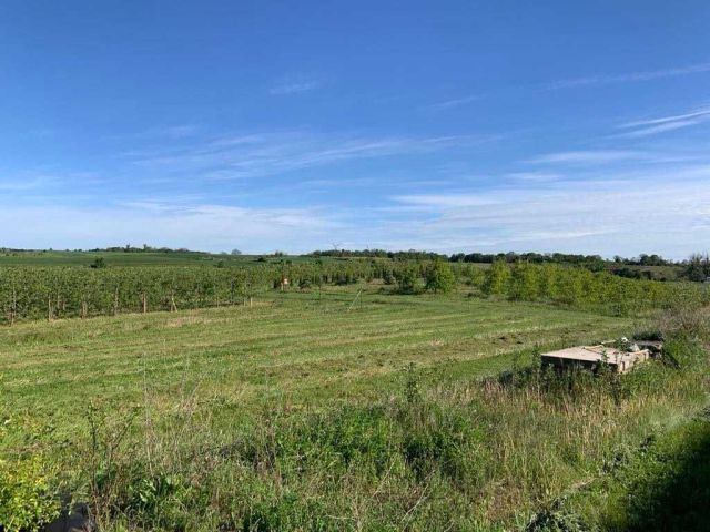 Działka budowlana Malbork Wielbark, ul. Szeroka. Zdjęcie 1